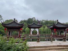 -上海圣淘沙万怡酒店