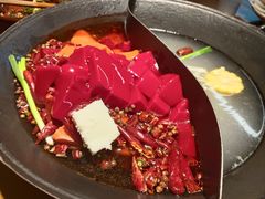 -阳阳老火锅(小南门店)