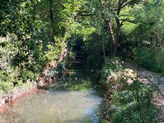 -东航云逸酒店(九溪烟树店)