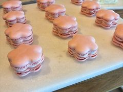 -成都华尔道夫酒店