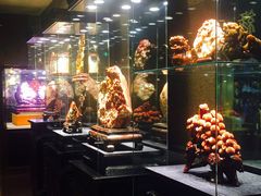 -上海新锦江大酒店