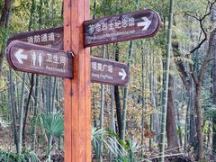 -青龙山国家森林公园