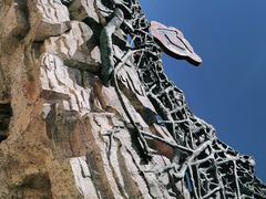 -贵州森林野生动物园
