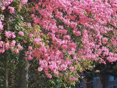 -华南师范大学(广州大学城校区)