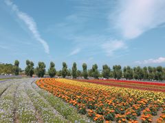 -富田农场