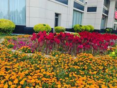 -锡林郭勒元和建国饭店