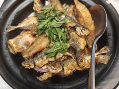 -厝包四点金·潮宴(太古仓店)