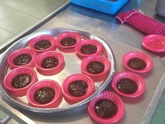 -熊家万峦猪脚(车城店)