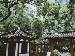-静安公园(静安寺街道)