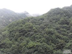 -王顺山国家森林公园