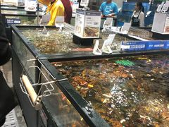 水产区-盒马鲜生(皇庭广场店)