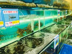 水产区-琼大师东方烤乳猪(亚特兰蒂斯店)