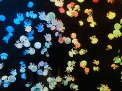 -欢乐海岸海洋奇梦馆