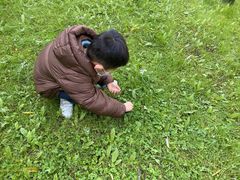 -杨梅红艺术教育(凤城教学中心)