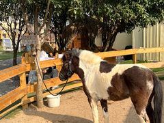 -HERRE·FARM 赫尔露营农场·团建聚会包场