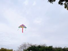 -顺峰山公园