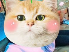 -皇马纯KTV(景田店)