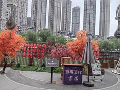 -成都市活水公园