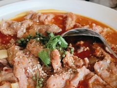 -付掌柜在成都·热炒砂锅集(金禾店)