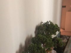 -潮上潮(南中环店)