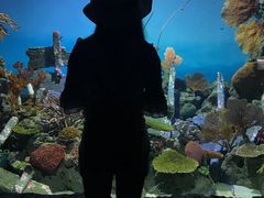 -暹罗海洋世界