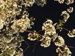 -苏州河梦清园环保主题公园