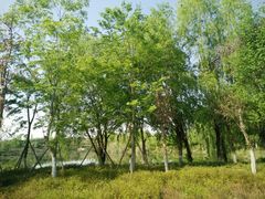 -白鹭湾湿地公园