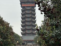 -塔子山公园