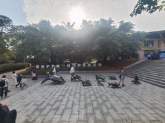 -广东惠东海龟国家级自然保护区