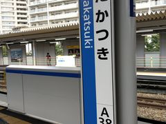 -奈良公园