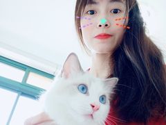 -喵的天空名猫咖啡馆·撸猫·猫舍·用品