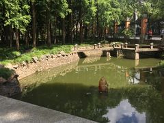-上海财经大学(国定路校区)