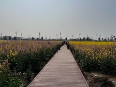 -中国天府农业博览园