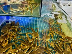 -驻海渔市(置信店)