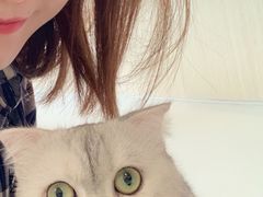 -飞行喵MR PILOT|猫舍·猫咖(静安大融城店)