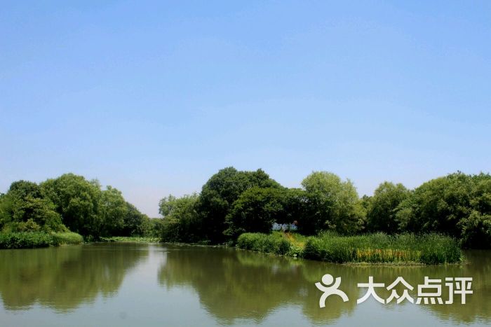 西溪湿地东区(周家村主入口)图片 - 第6张