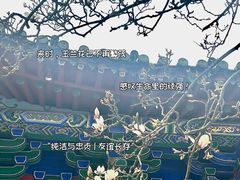 -真庆观