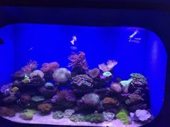 -青岛海底世界-水族馆