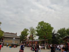 -大槐树寻根祭祖园