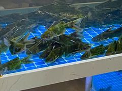-石锅苗苗鱼(武汉首店)