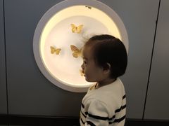 -下渚湖国家湿地公园科普馆