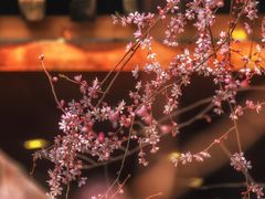 -三里河公园