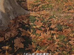 -蠡湖中央公园