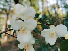 -三国赤壁古战场