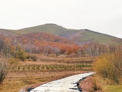 -塞罕坝国家级自然保护区