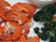 -小贝壳酒楼(经九路店)