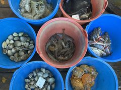 -蓝湾碧波·老字号·疍家非遗海上餐厅