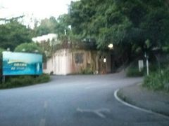 -白云湖畔酒店-湖畔餐厅