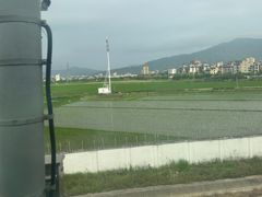 -力美健(中华店)