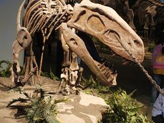 -自贡恐龙博物馆